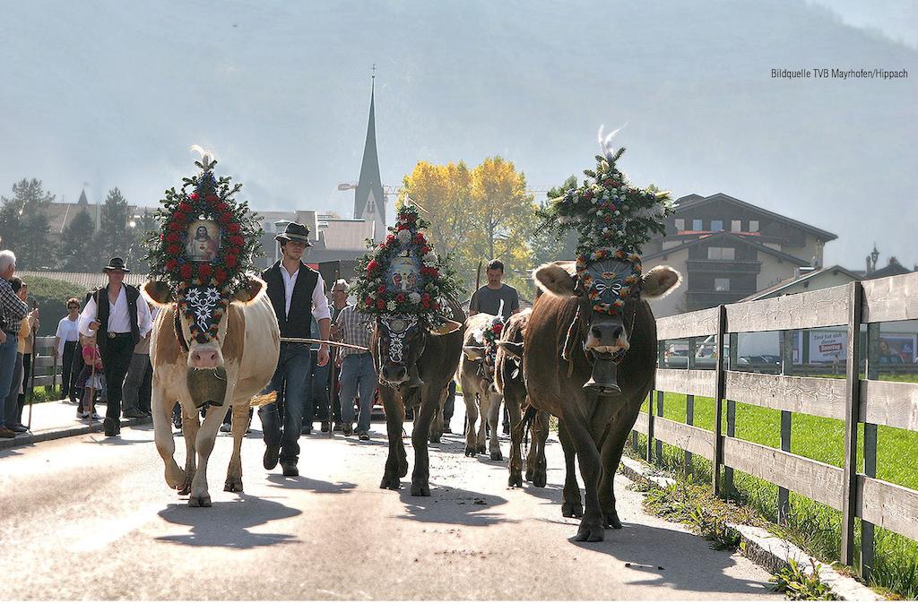 Appartamento Haus Gaisberger Mayrhofen Esterno foto